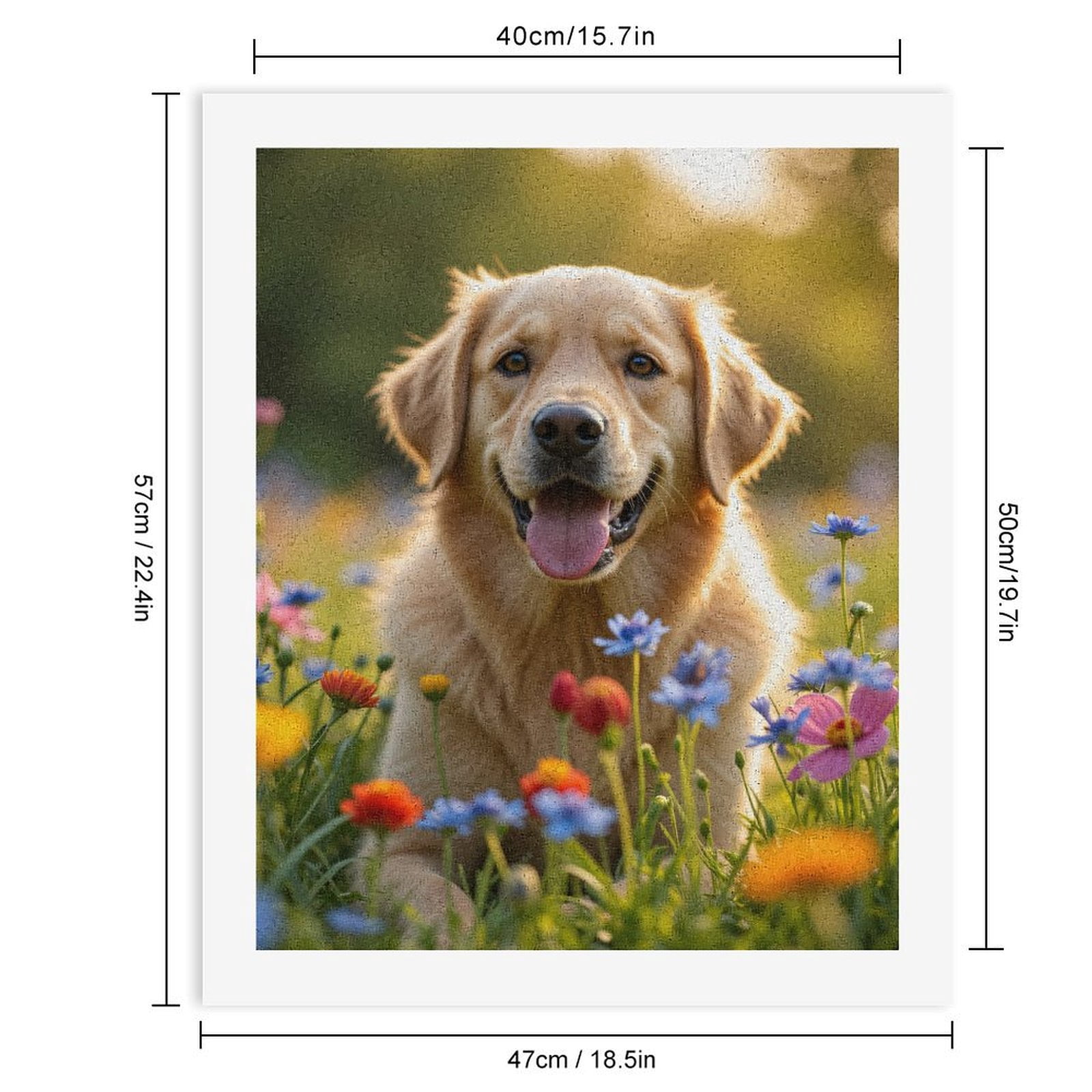 Paint by Numbers Kit for Adults, Golden Retriever In Blooming Meadow Paint by Numbers, Easy Paint by Numbers Kit for Adults Beginner, DIY Adult Paint by Number Kits on Canvas, Home Decor
