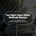 thumbnail image 2 of Avian X Top Flight Open Water Mallards Decoys, Ultra Realistic, 18 Pack, 2 of 12