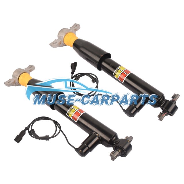 Rear Shock Absorber Struts Assembly for Lincoln MKZ Gas Electric 2013-2020