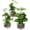 Black Wood, variant on Artificial Plants Indoor, Set of 3 Small Fake Potted Plants, Faux House Plant for Home Decor