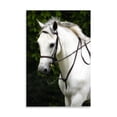 thumbnail image 2 of Gango Home Decor Phantom I by Alan Hausenflock (Printed on Paper); One 24x36in Fine Art Paper Giclee Print, 2 of 4