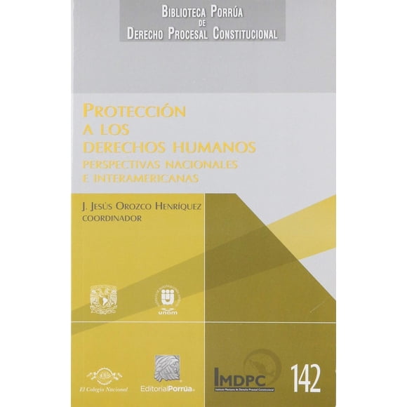 Protección a los Derechos Humanos Editorial Porrúa 9786070931109