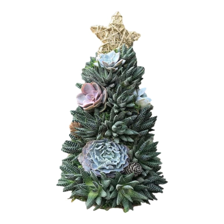 Hinvhai Clearance Handmade Surprise Christmas Gift Succulent Christmas Tree  - Walmart.com