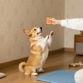 thumbnail image 3 of Jouets à Mâcher en Latex Durables pour Chiens avec Design de Nourriture Réaliste, Activité Idéale pour Animaux de Compagnie Intérieur Extérieur, 3 of 5