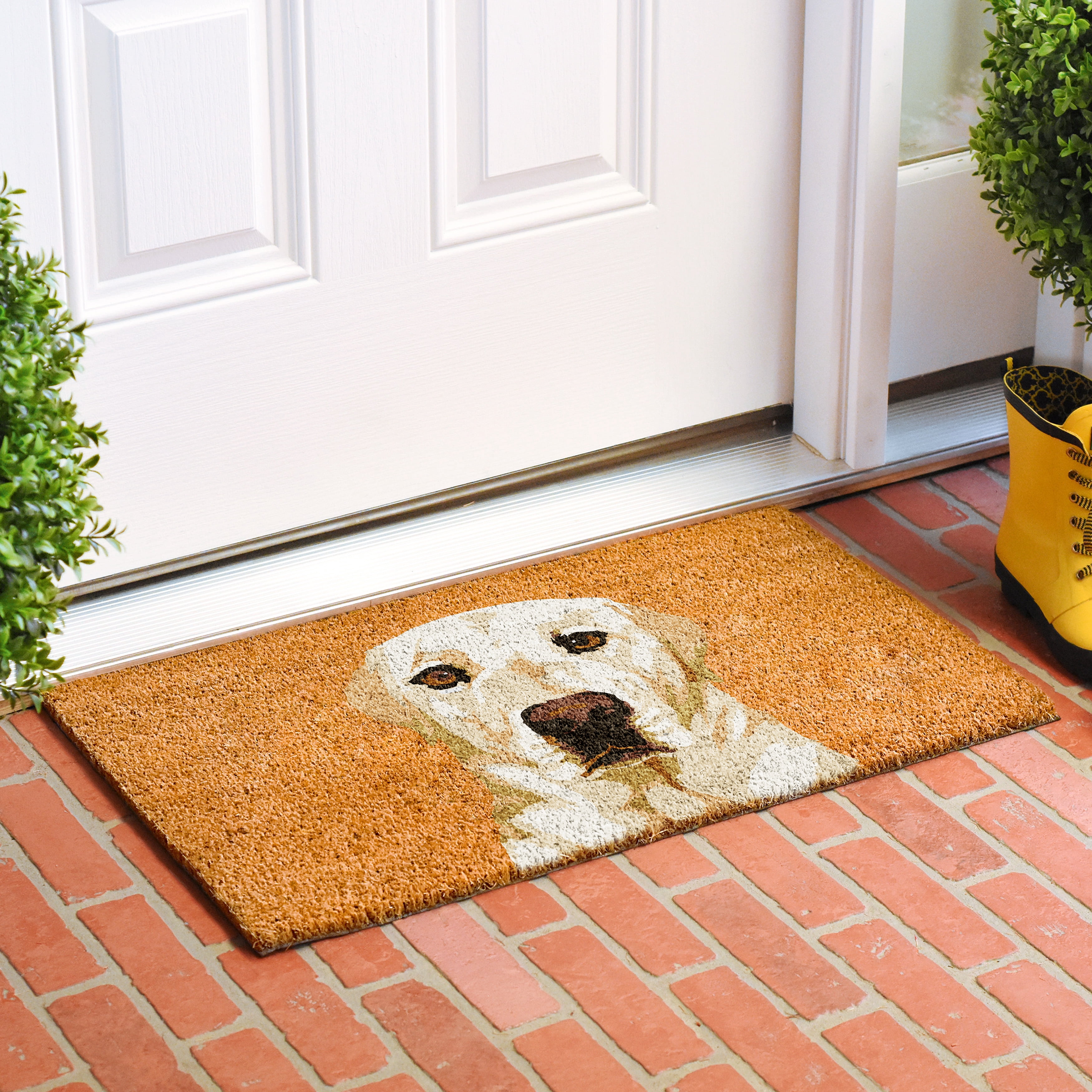 Calloway Mills 109522436 Cream Labrador Doormat 24" x 36"