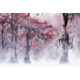 thumbnail image 2 of Leechee  32x23 White Modern Wood Framed Museum Art Print Titled - Foggy a Fall Foliage at Caddo Lake, 2 of 4