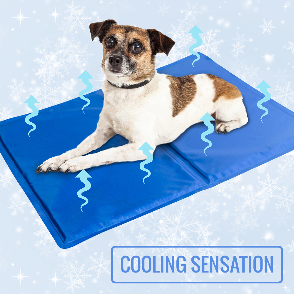 cooling mat for dogs walmart