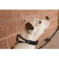 thumbnail image 3 of Collar para perros Starmark Pro-Training grande para todas las etapas de la vida, 3 of 4