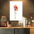 thumbnail image 1 of Red Poppy Flower with Large Petals - Large Flower Canvas Wall Art, 1 of 3