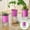 Purple, variant on SHIMELE Self Watering Planter Automatic Hydroponic Flower Pot Lazy Watering Plant Pot Decorative Indoor Outdoor Plastic Planter Vase Double Layer Self Absorbing Design,1pc