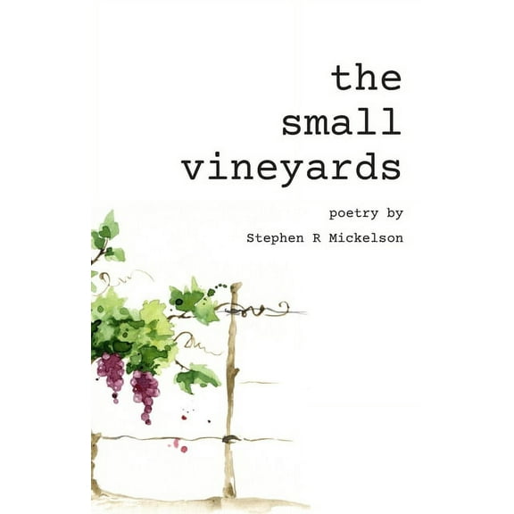 The Small Vineyards (Paperback)