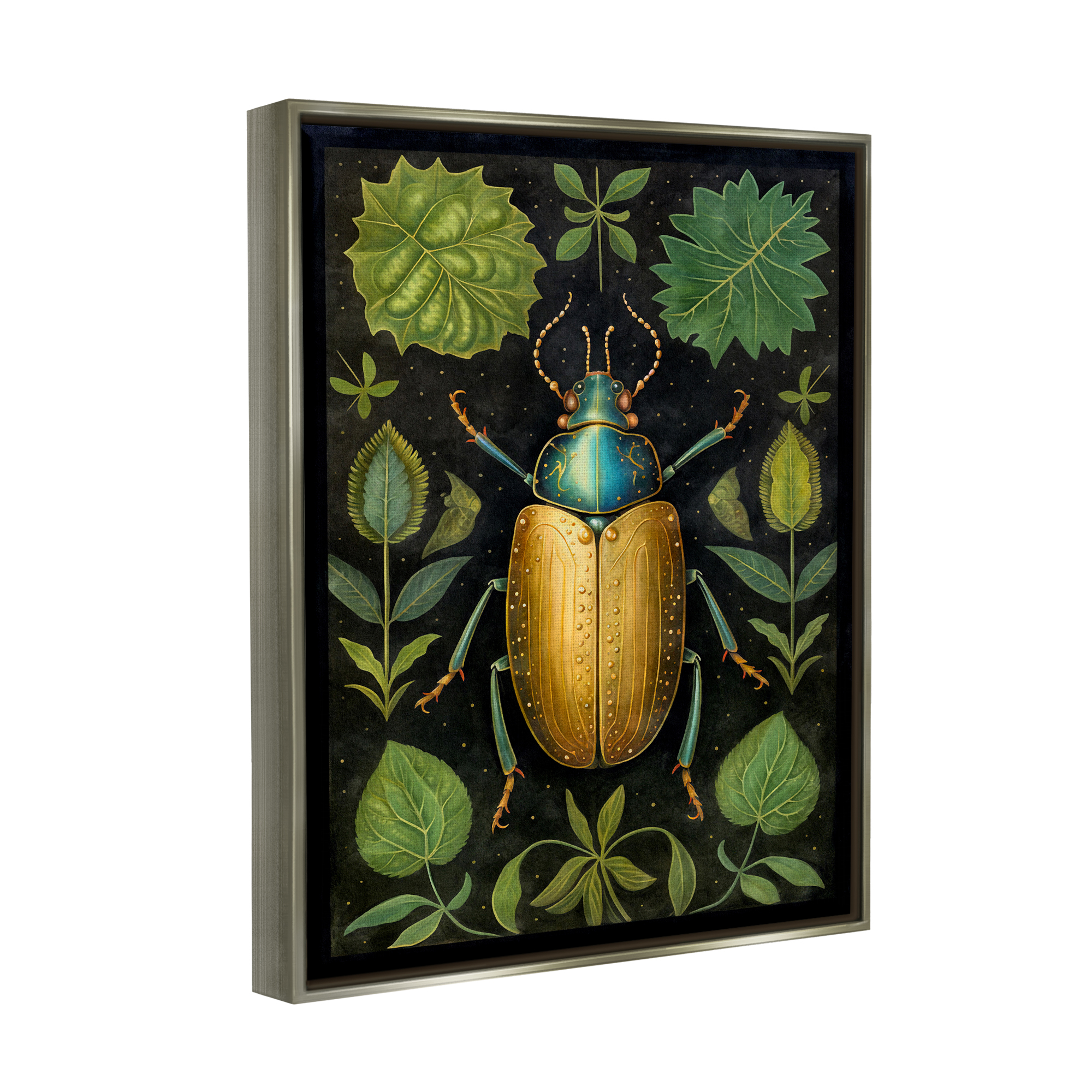 Stupell Industries Botanical Beetle Study Animals & Insects Painting Gray Floater Framed Canvas Art Print Wall Art, 25 x 31