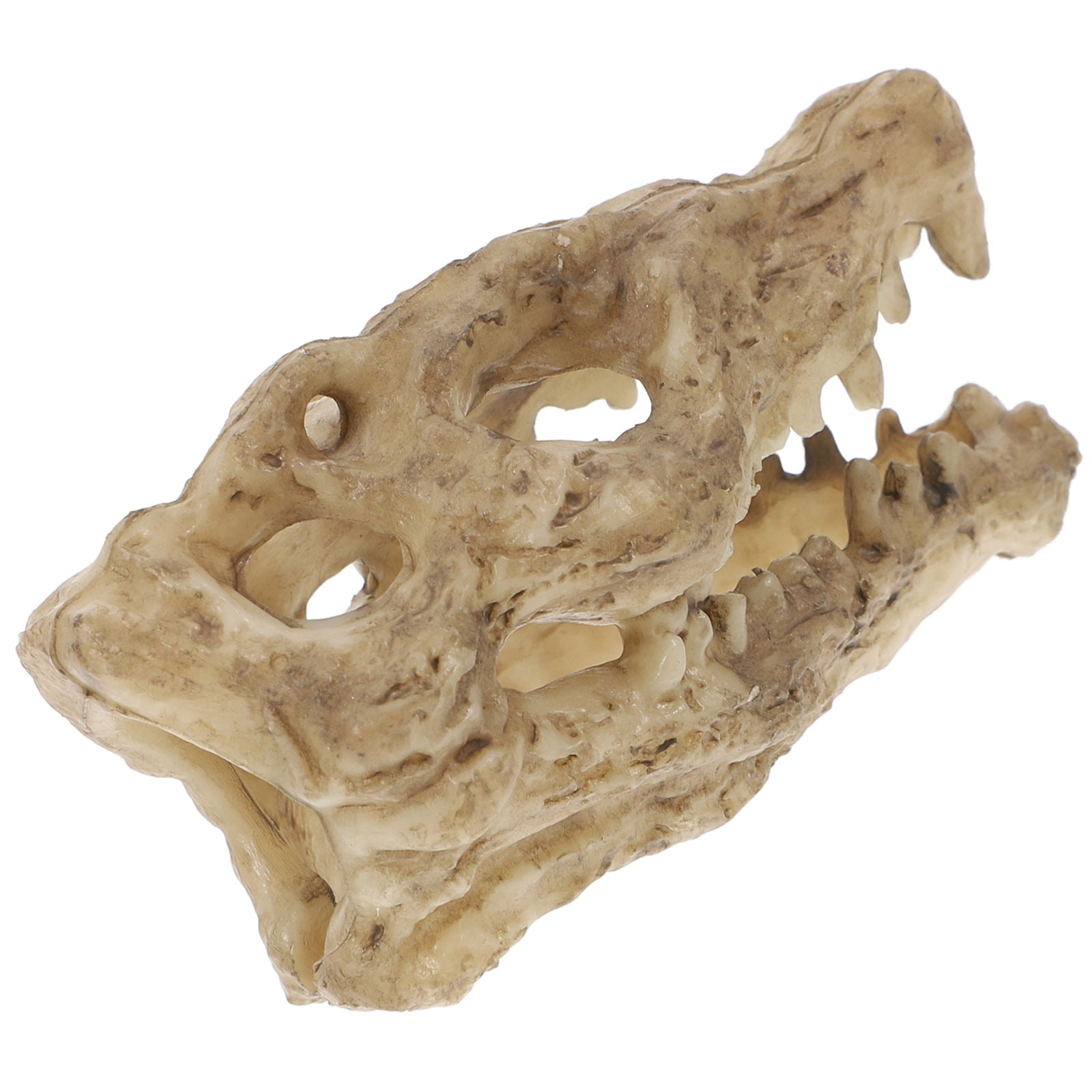 BESTYASH Detachable Resin Crocodile Skull Decor for Reptile Cage and Leopard Gecko Accessories