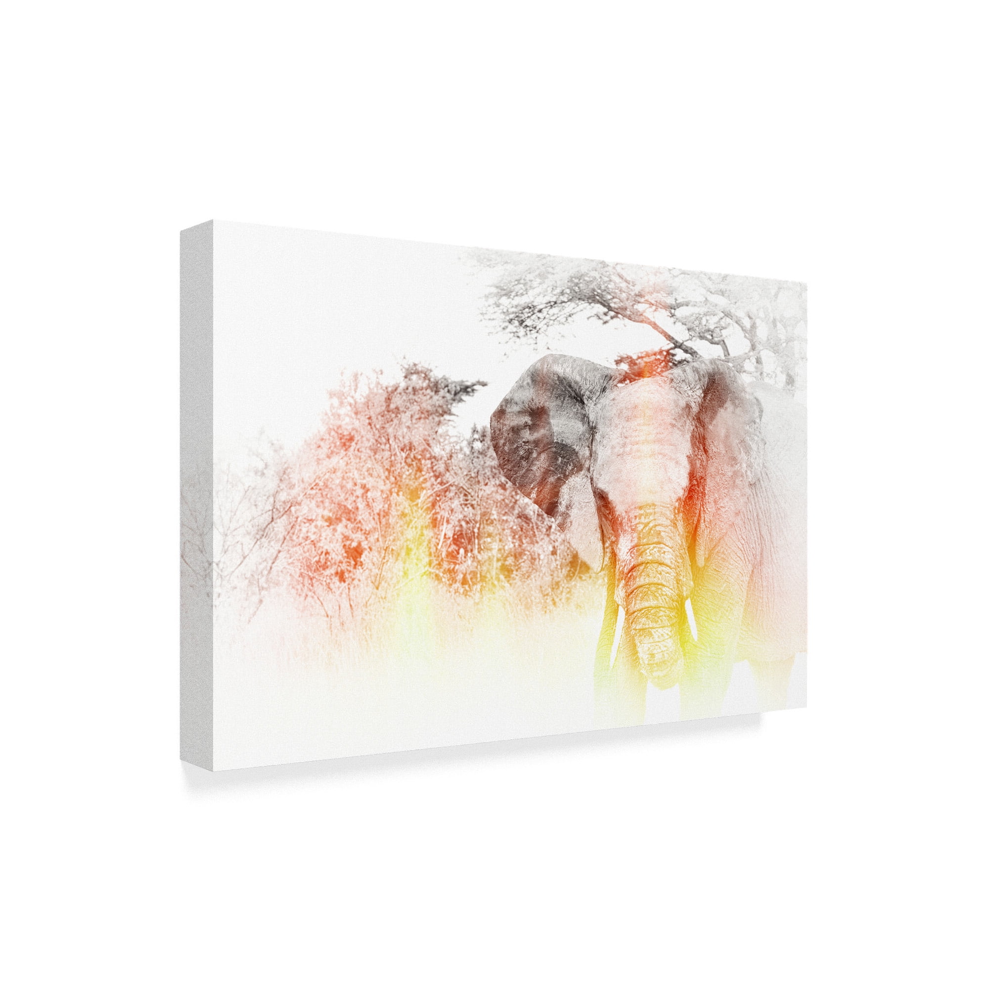 Trademark Fine Art 'Golden Elephant' Canvas Art by Golie Miamee