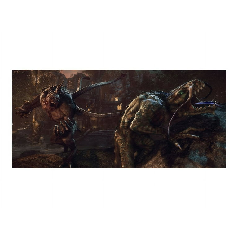 PlayStation4 - PS4 北米版 LICHDOM BATTLEMAGE PlayStation4 Amazon.com: Lichdom: Battlemage - PlayStation 4 : Maximum