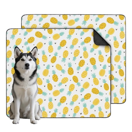 Washable Reusable Dog Pee Pads Playful Fruit Pattern Absorbent Mat with Non-Moving Bottom for Apartment (Fruit patterns 35 x41 )