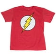 thumbnail image 2 of DC Comics The Flash Symbol Glow Ink Youth T-Shirt-XLarge, 2 of 4