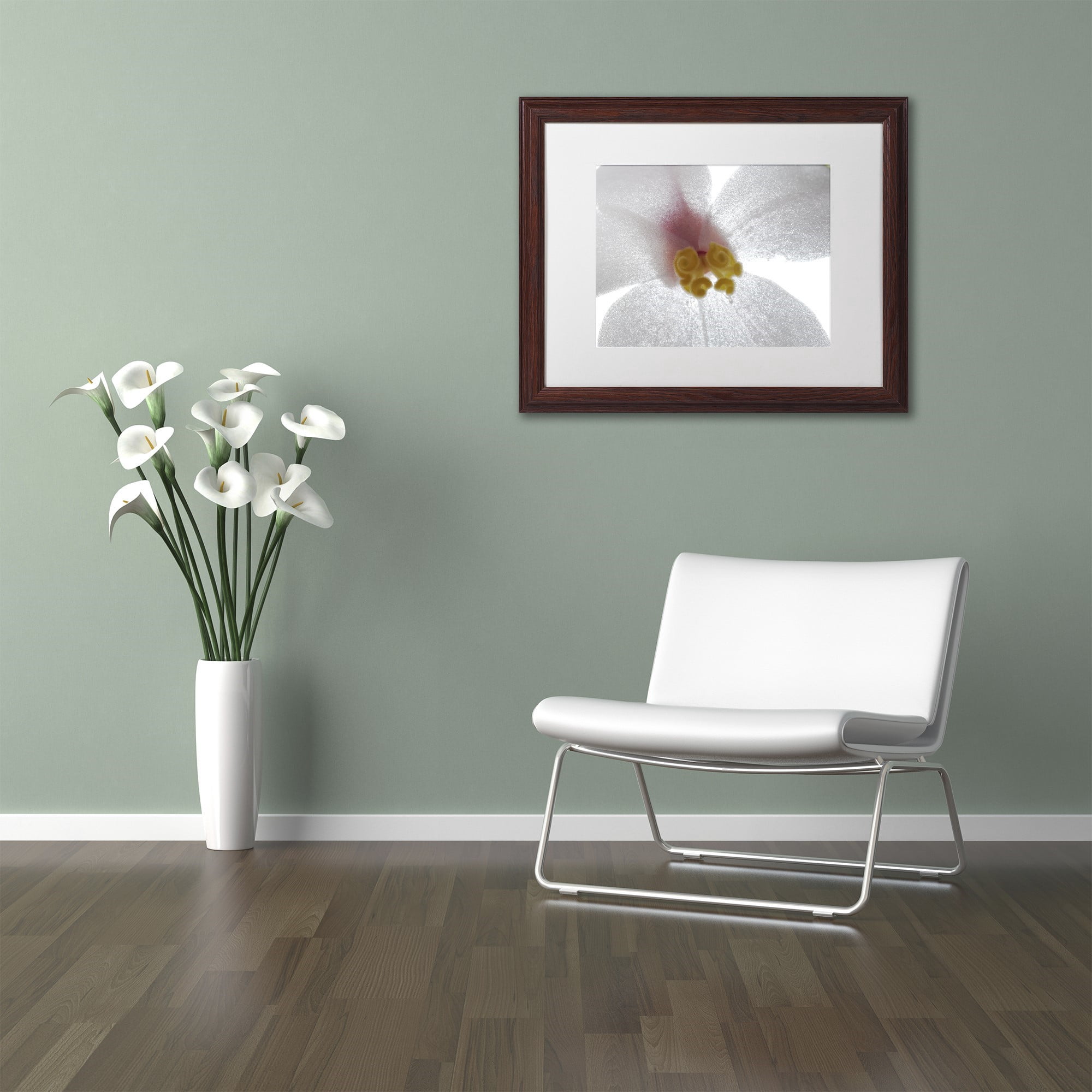Trademark Fine Art "Escargo Begonia Flower" Canvas Art by Kurt Shaffer, White Matte, Wood Frame