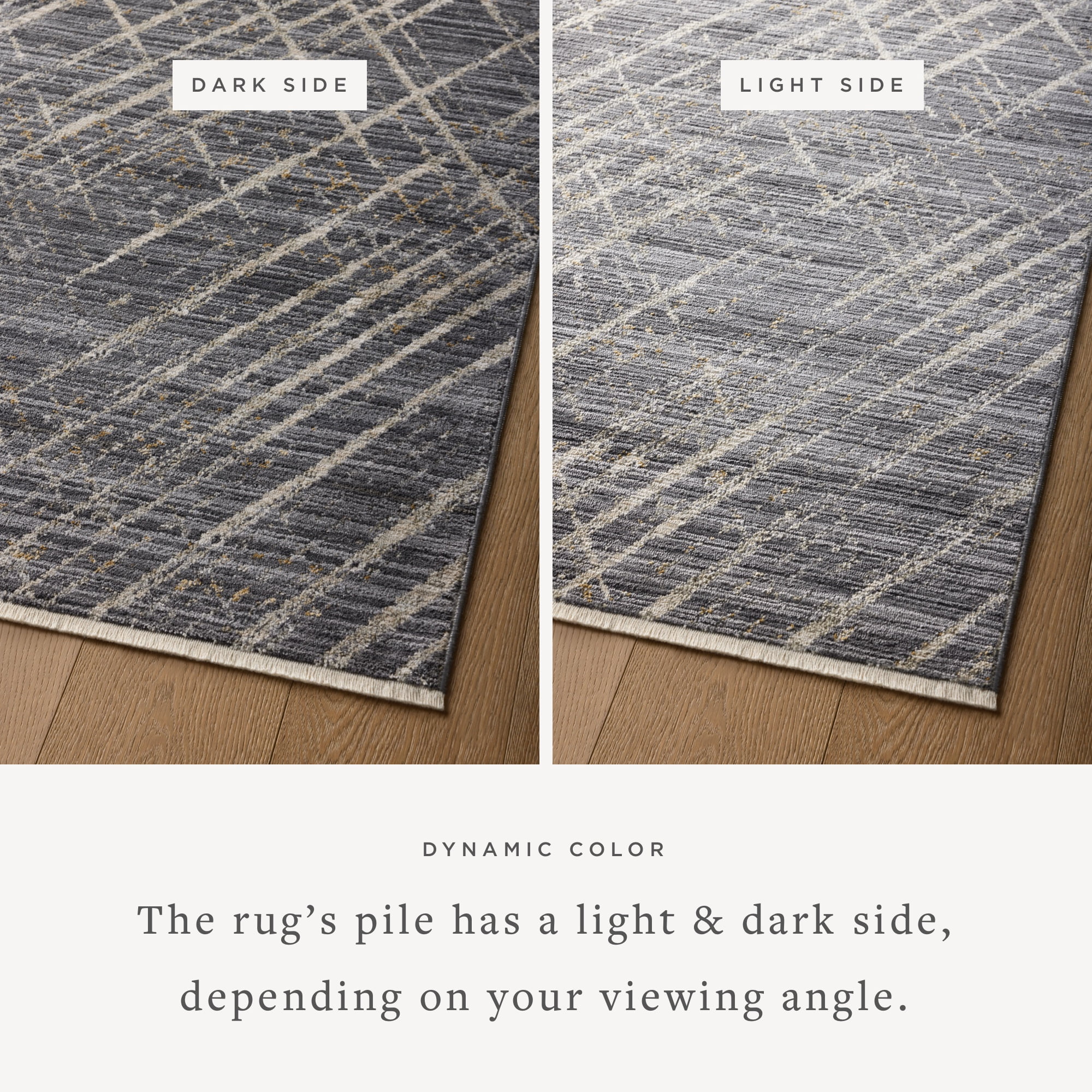 Loloi Wade Midnight / Beige 5'-3" x 7'-9" Area Rug