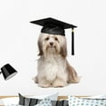 thumbnail image 1 of Cute Eminent Graduation H)avanese Wall Mural Decal by Wallmonkeys Vinyl Peel and Stick Graphic (36 in H x 27 in W), 1 of 4