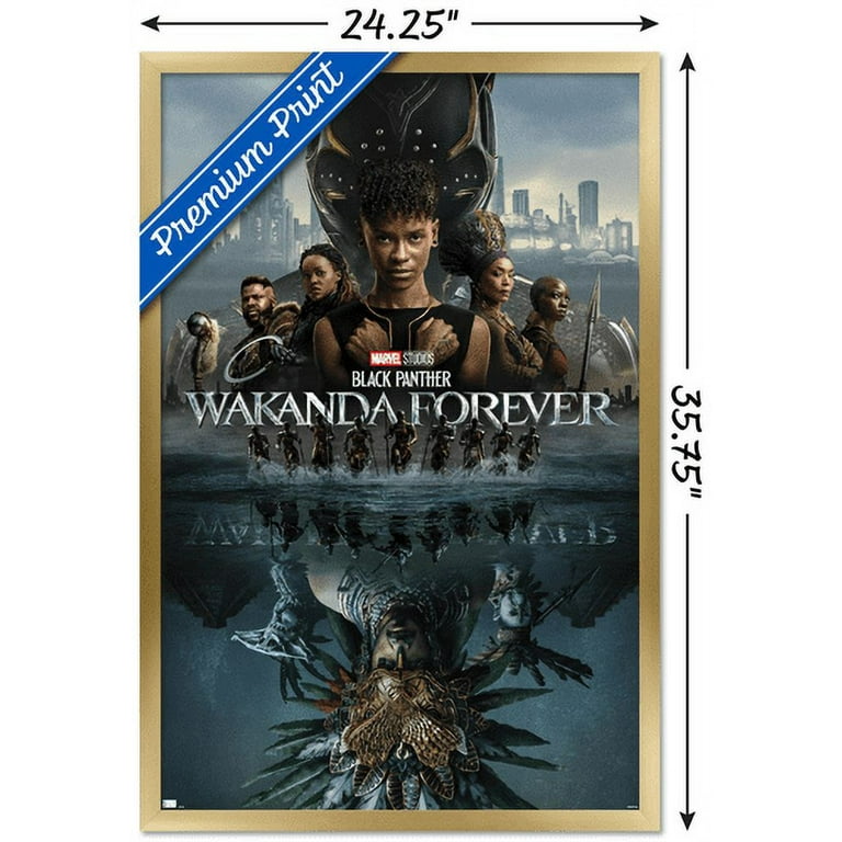 Marvel Black Panther: Wakanda Forever - One Sheet Wall Poster
