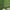 Green, variant on Clothes under $5 asdoklhq Womens Clearance Coats Plus Size Women Soft Chiffon Open Front Sheer Short Sleeve Cardigans For Evening Dress