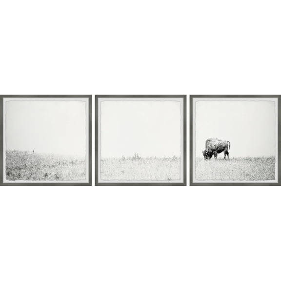 Marmont Hill Distant Grazing II Triptych, 12" x 36"