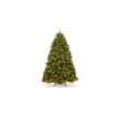 thumbnail image 1 of National Tree NAFFH1-75LO-S2 7.5 ft. Natural Fraser Fir Hngd Tree with 1200 Clear Lights, 1 of 1