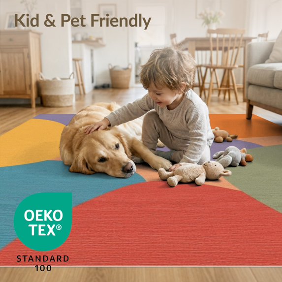 ODIKA 5'x7' Vibrant Multicolor Abstract Design Washable Area Rug Modern Art-Inspired Geometric Pattern for Guest Room, Lounge, Apartment, Non-Slip Low Profile, Stain Resistant