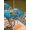 Orange Blue, variant on Funny Diving Tiger Outdoor Tablecloth - 60x60 Inch Square Dining Table Cover, Ocean Sea Coastal Coral Fish Marine Life Waterproof Outdoor Table Cloth with Umbrella Hole & Zipper for Picnic/Patio
