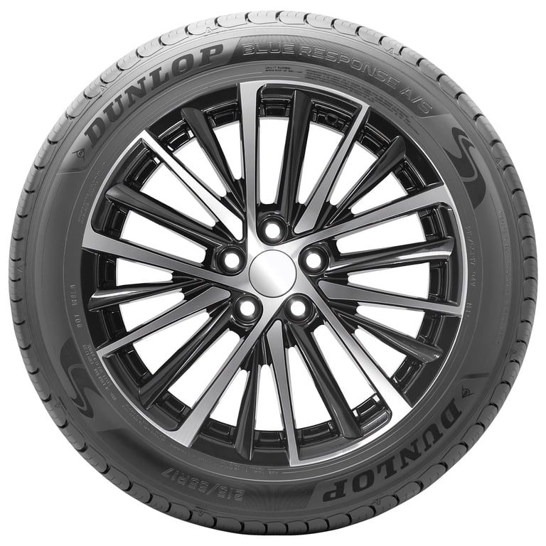 Dunlop Blue Response A/S Touring 175/65R15 84H Passenger Tire