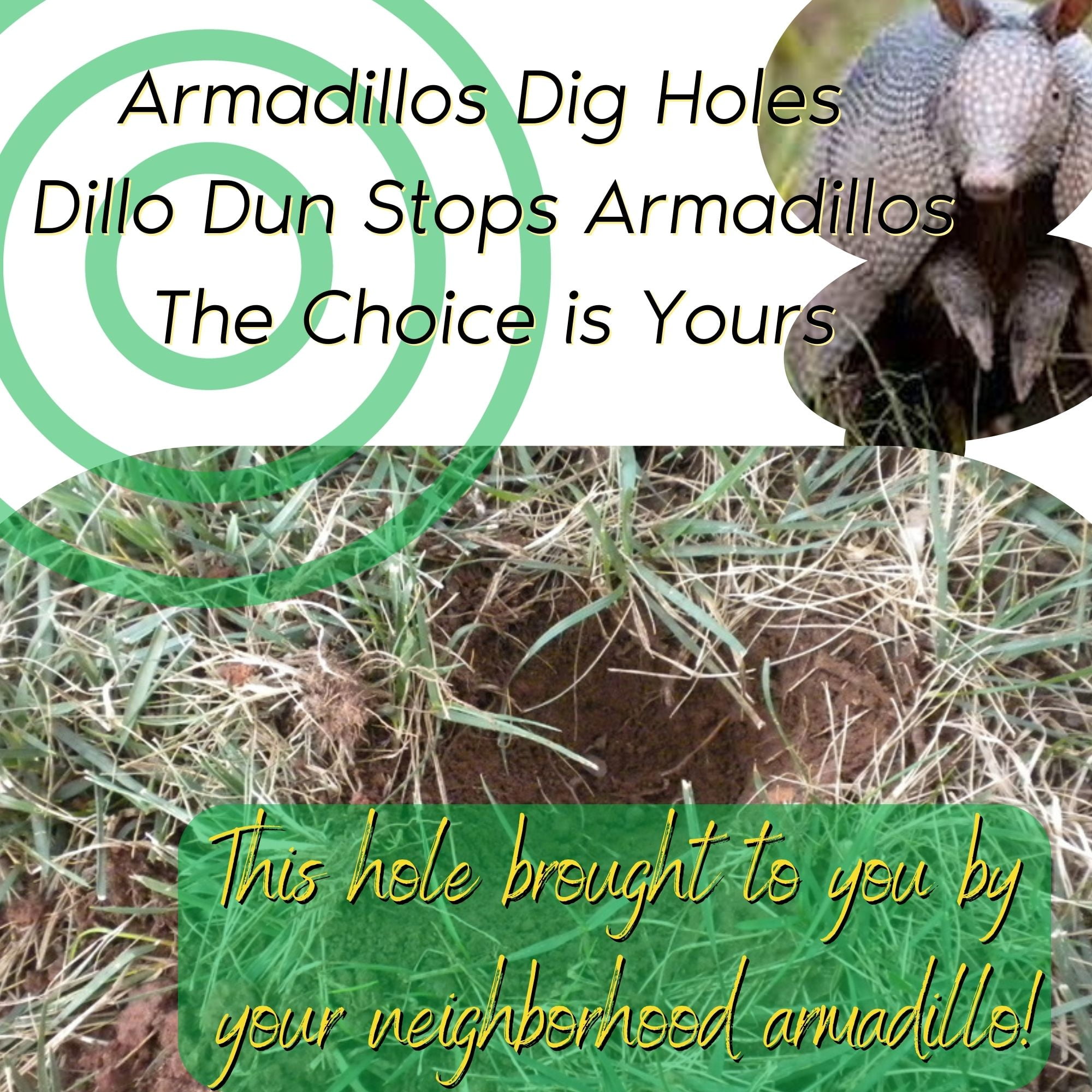 Zone Protects Dillo Dun! Armadillo Repellent; Stops Armadillos from Digging