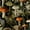 Color 1, variant on Retro Peel and Stick Wallpaper Botanical Mushroom Garden Fungi Greenery Dark Wall Mural 17.7in x 9.8ft Self Adhesive Removable Wall Paper Renter Friendly Wallpaper for Nursery Bedroom Cabinets