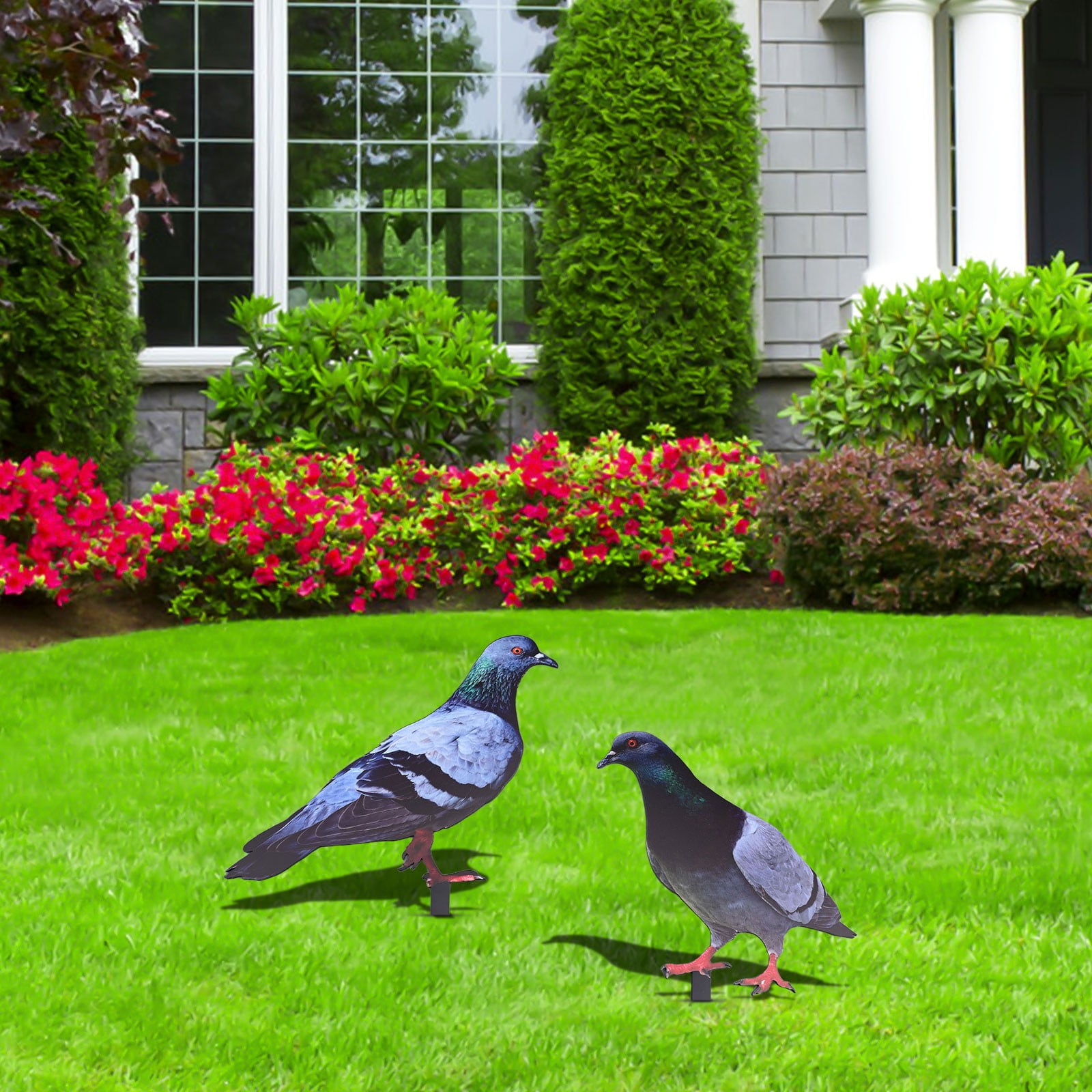 KDJ 2D Acrylic Garden Pigeon Statue Wild Pigeon Sculpture Yard Decor Farm Card - for Home Decor