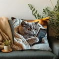 thumbnail image 4 of Cat Print Throw Pillow Cover 18x18 Inch, Colorful Cute Cat Pattern with Hidden Zipper, Soft Polyester Decorative Pillow for Sofa Couch Bed Home Decor, 4 of 5