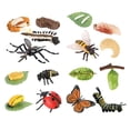 thumbnail image 3 of MERIGLARE Life Cycle Learning Toys Cognitive Preschool for Party Daycare Presentations D, 3 of 9