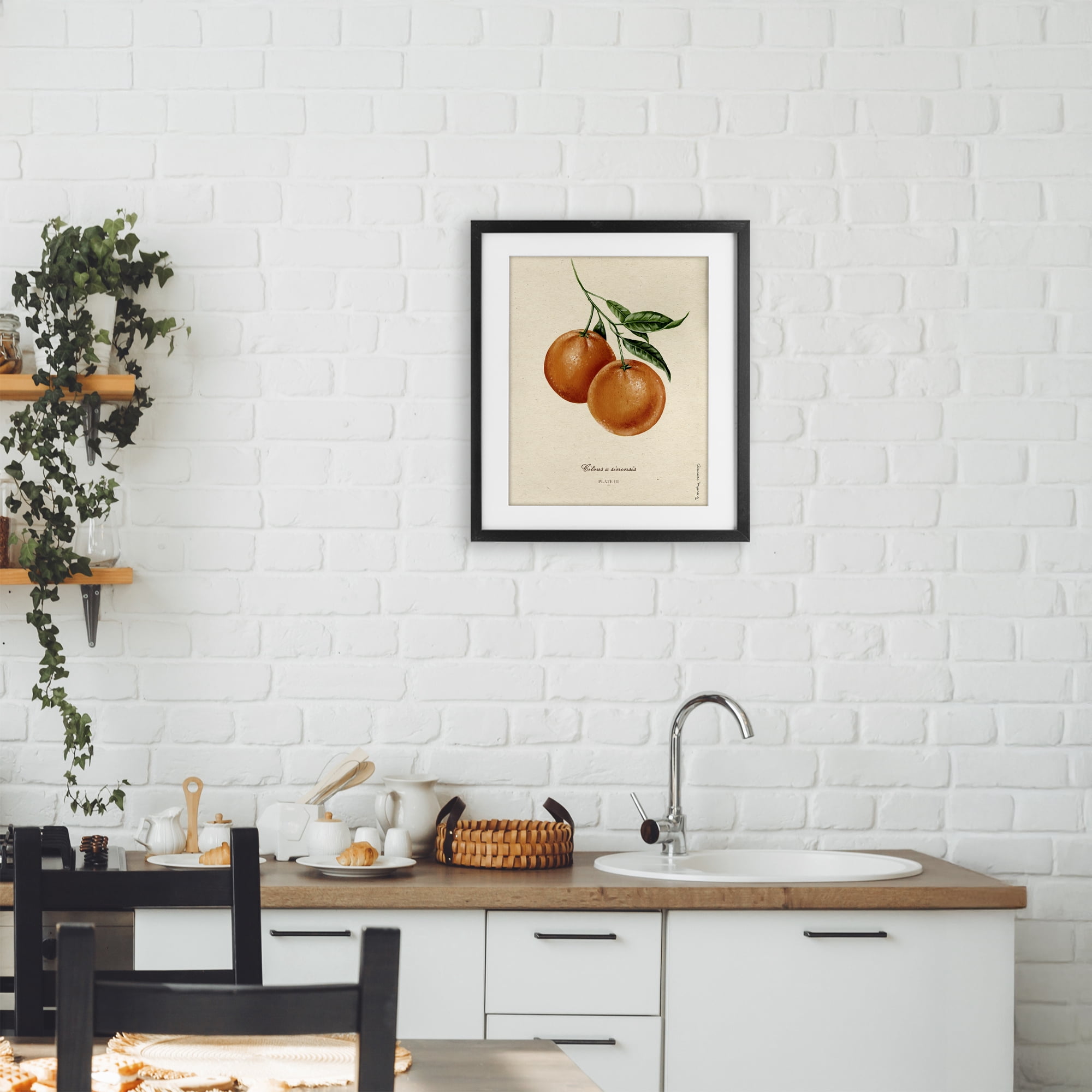Stupell Industries Orange Fruit Portrait Black Framed Print Under Glass, design by Danielle Murray