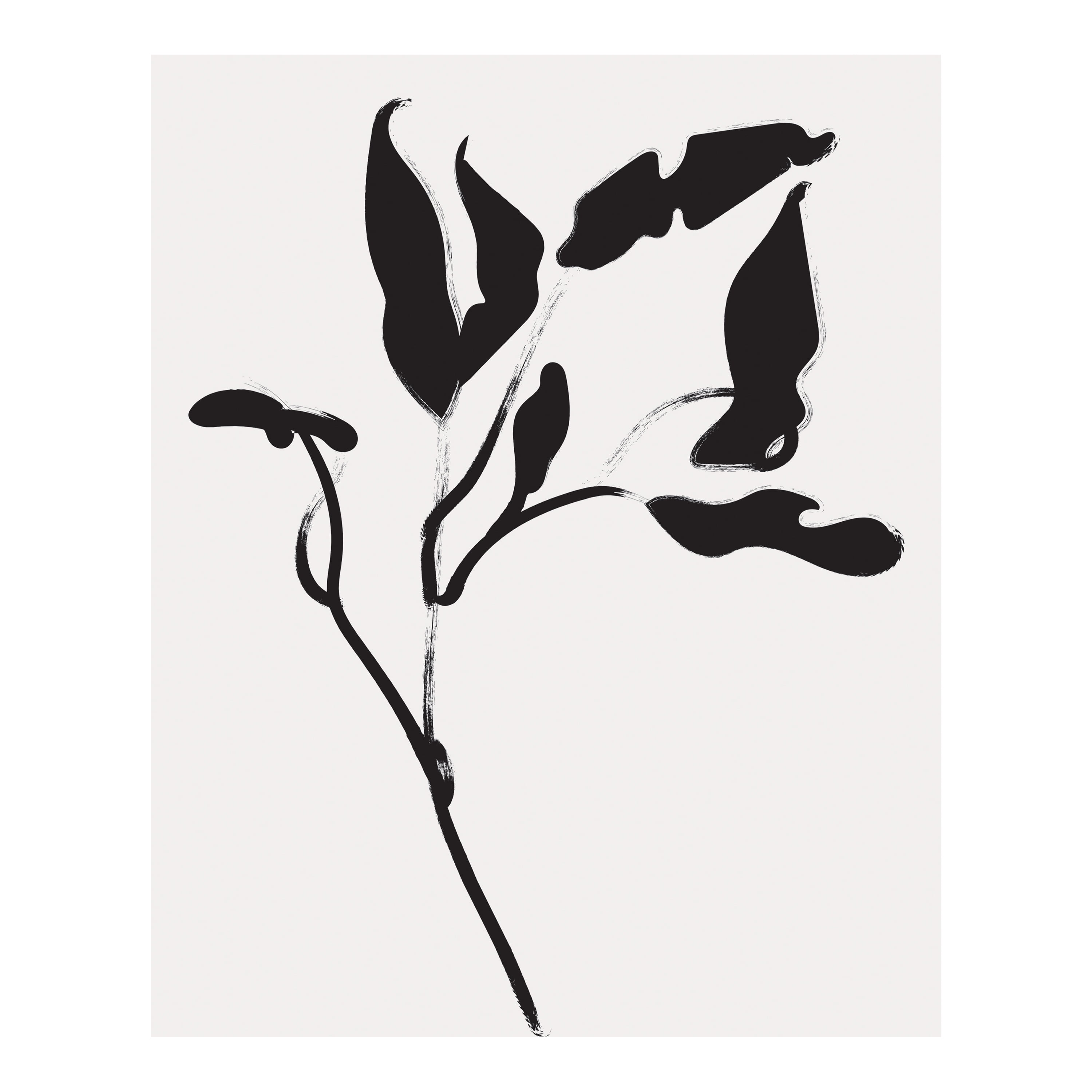 (2 pack) DesignOvation Botanicals Black and White Unframed Art Prints 8” x 10” Set of 3 by The Creative Bunch Studio