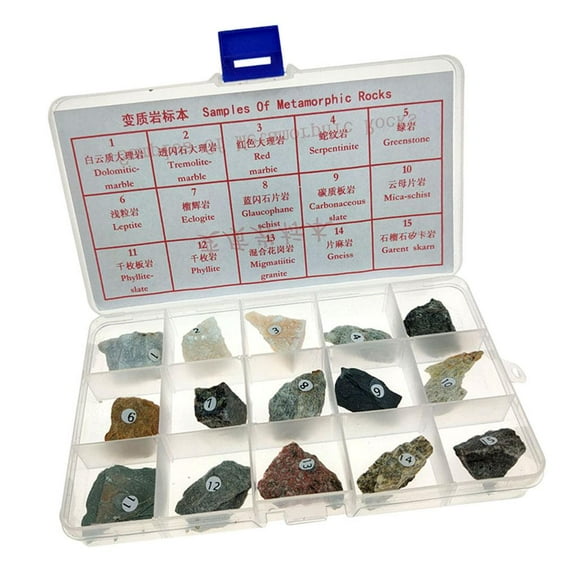 KLKCMS 15pcs Metamorphic Rock Specimen Collection Real Stone Teaching Aid Ages 8 up