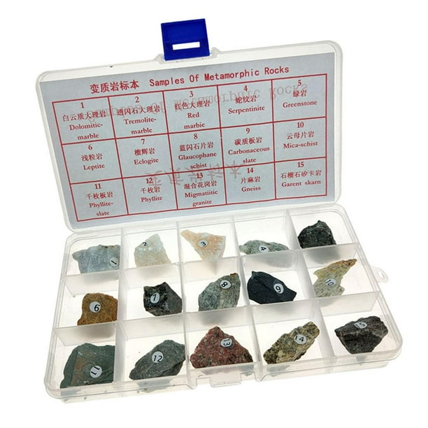 15 piezas. piedras naturales piedras decorativas piedras minerales con caja para aprender y divertirse