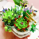 thumbnail image 2 of Bloques de construcción de partículas pequeñas, mini cerezo carnoso en maceta para niña, decoración para el hogar, ramo de regalo, 2 of 3