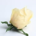 thumbnail image 3 of 10 piezas de flores artificiales de seda rosa para ramo de novia DIY champán, 3 of 9