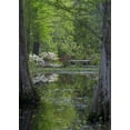 thumbnail image 2 of Rotenberg, Nancy 11x14 Black Ornate Wood Framed with Double Matting Museum Art Print Titled - SC Azaleas and trees reflect in swamp water, 2 of 4