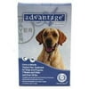 Bayer ADVANTAGE6-BLUE Advantage 6 Pack Dog 55 Lbs. & Up - Blue