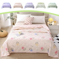 InsCrazy Cooling Comforter Queen Size Washable Cooling Blanket, Cool Sleeping Summer Blanket for Night Sweats Hot Sleepers Cool Feeling Cotton Blanket