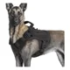 thumbnail image 2 of Táctico Pechera Arnés Con Correa Para Perro Mediano Grande, 2 of 8