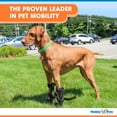 Walkin Pets Front Leg Splint For Dogs With Arthritis And Injuries walkin-pets-front-leg-splint-for-dogs-with-arthritis-and-injuries