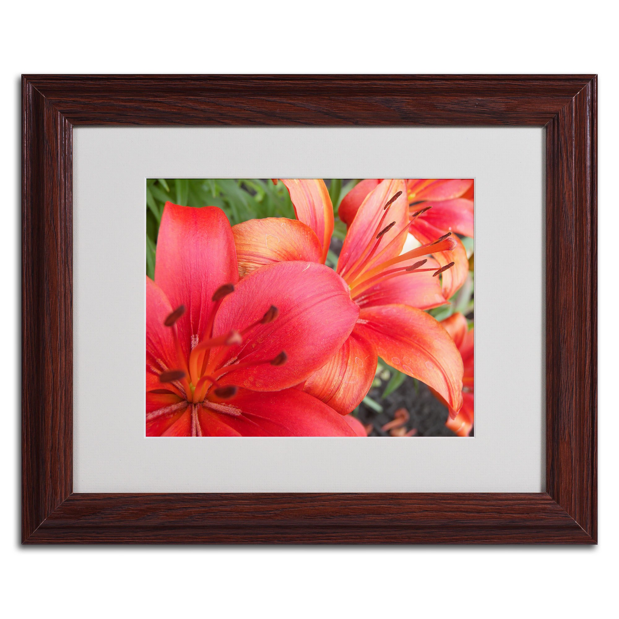 Trademark Fine Art "Lehua" Canvas Art by Monica Fleet, White Matte, Black Frame