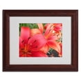 thumbnail image 3 of Trademark Fine Art "Lehua" Canvas Art by Monica Fleet, White Matte, Black Frame, 3 of 4