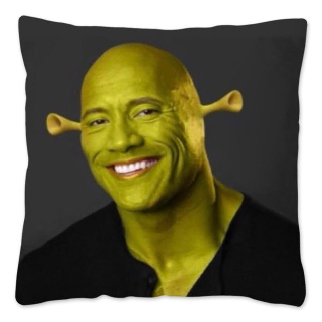 The Rock Face Dwayne funda de cojín para sofá, cubierta decorativa para el hogar, Actor americano Johnson, funda de almohada de poliéster